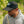 Y Not Pattern Logo Cap