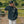 Y Not Bolt Logo Hoodie - Black